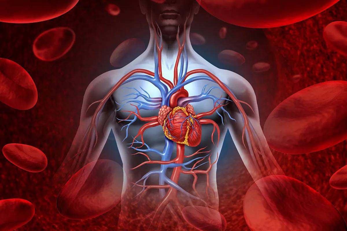 Fisiologia Essenziale